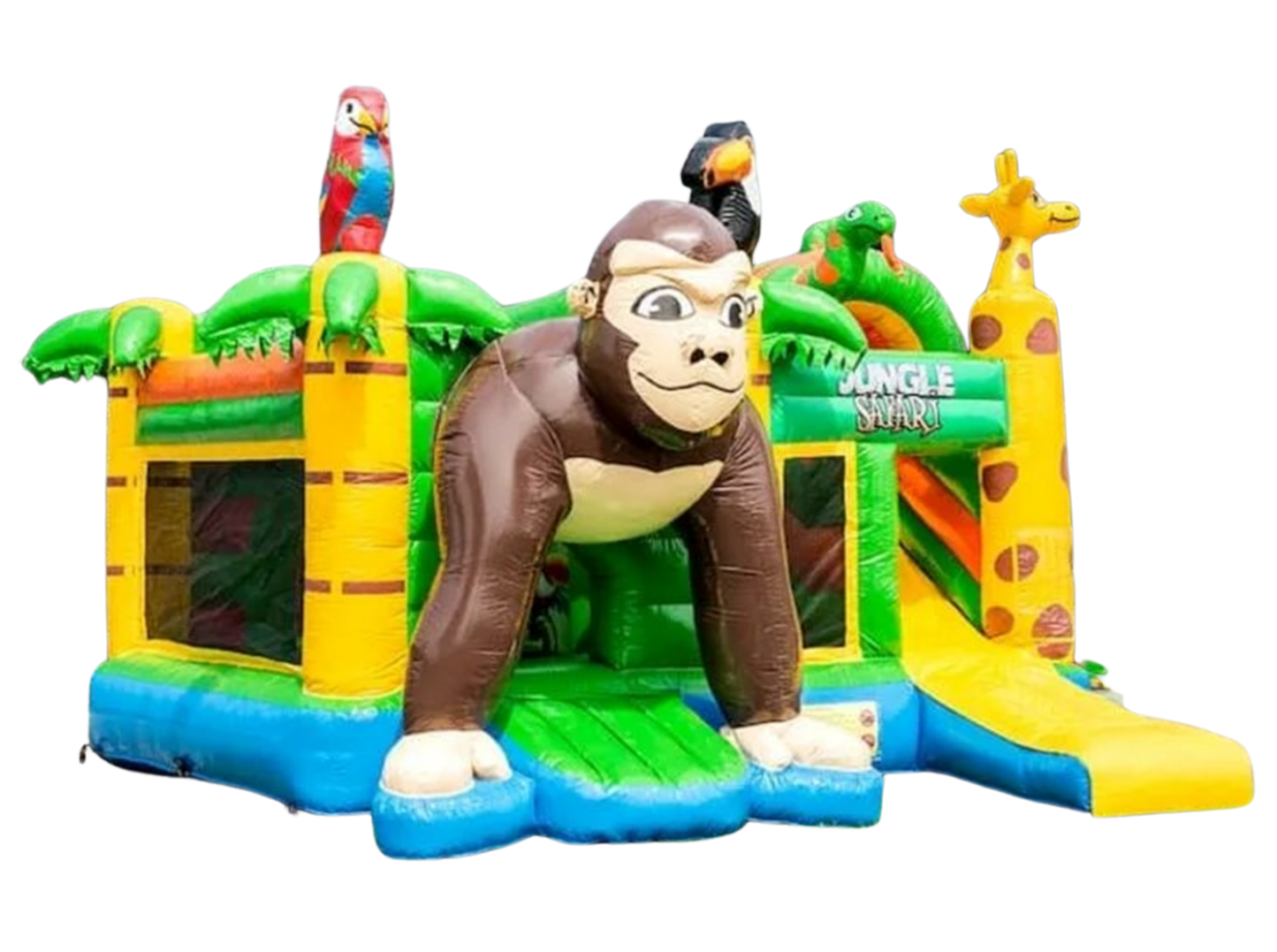 Safari Multiplay